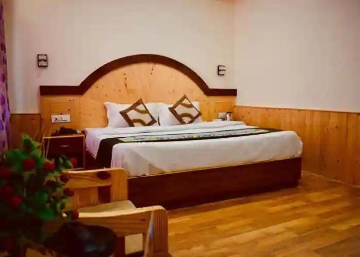 The Visor, Manali Hotel - Manali (Himachal Pradesh) — Photos 3